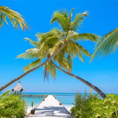 半岛网页版入口